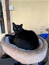 Gilbert