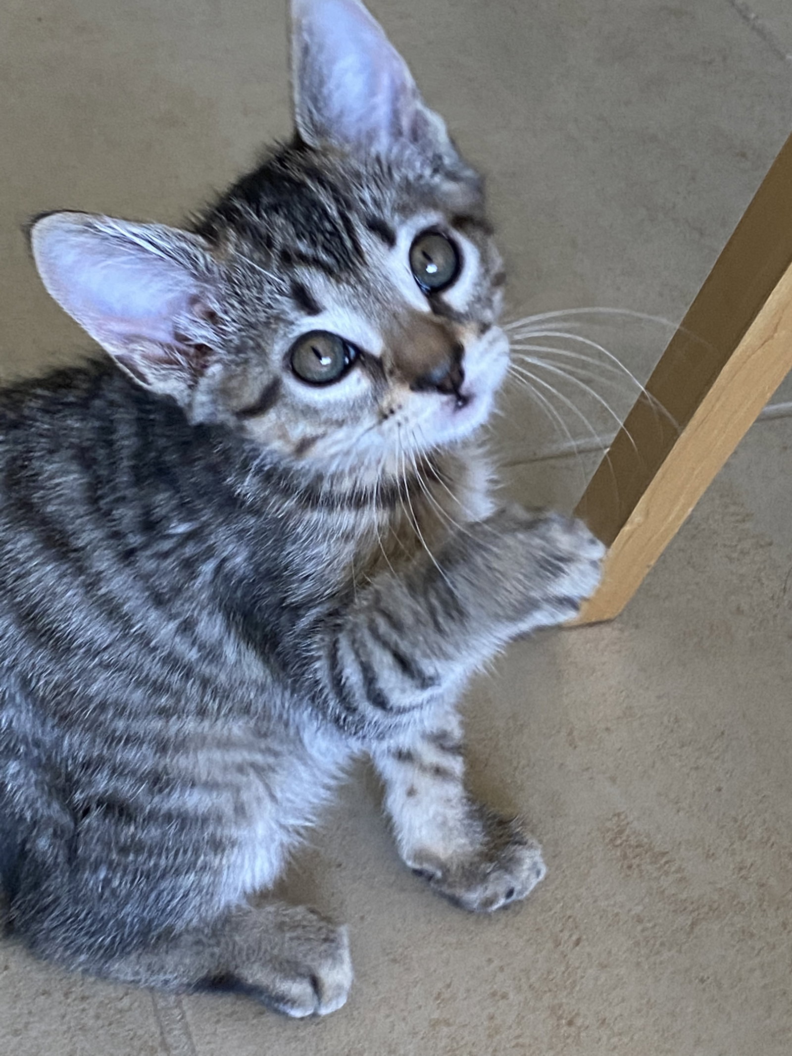 Franklin