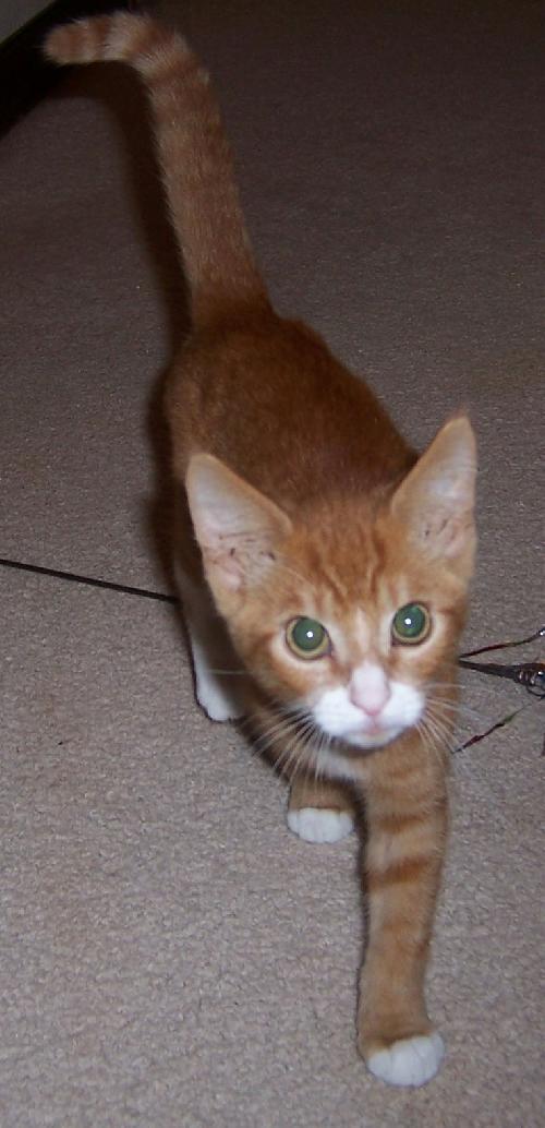 Milton