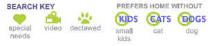 Petfinder&trade; Icon Key