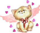 PAWS Logo