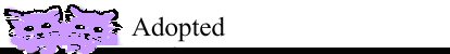 Adopted Header Adopted Header