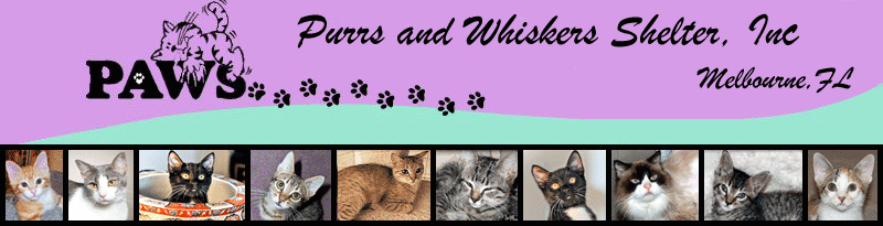 New Banner Header New Banner Header